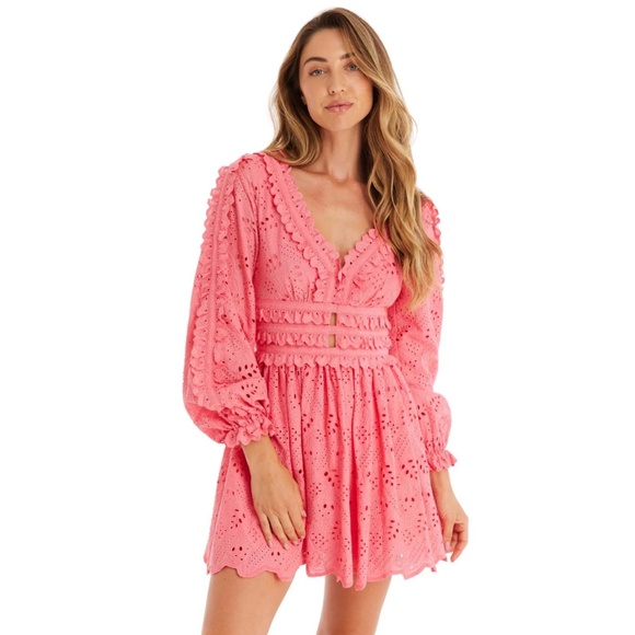 NWT Allison New York - Taylor Pink Eyelet Mini Dress Multiple Sizes Available - Picture 4 of 8